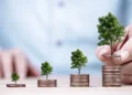 Beyond the Numbers: A Sophisticated Guide to Intelligent Investment